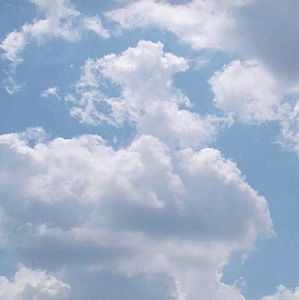 Meet your Posher, Gillian